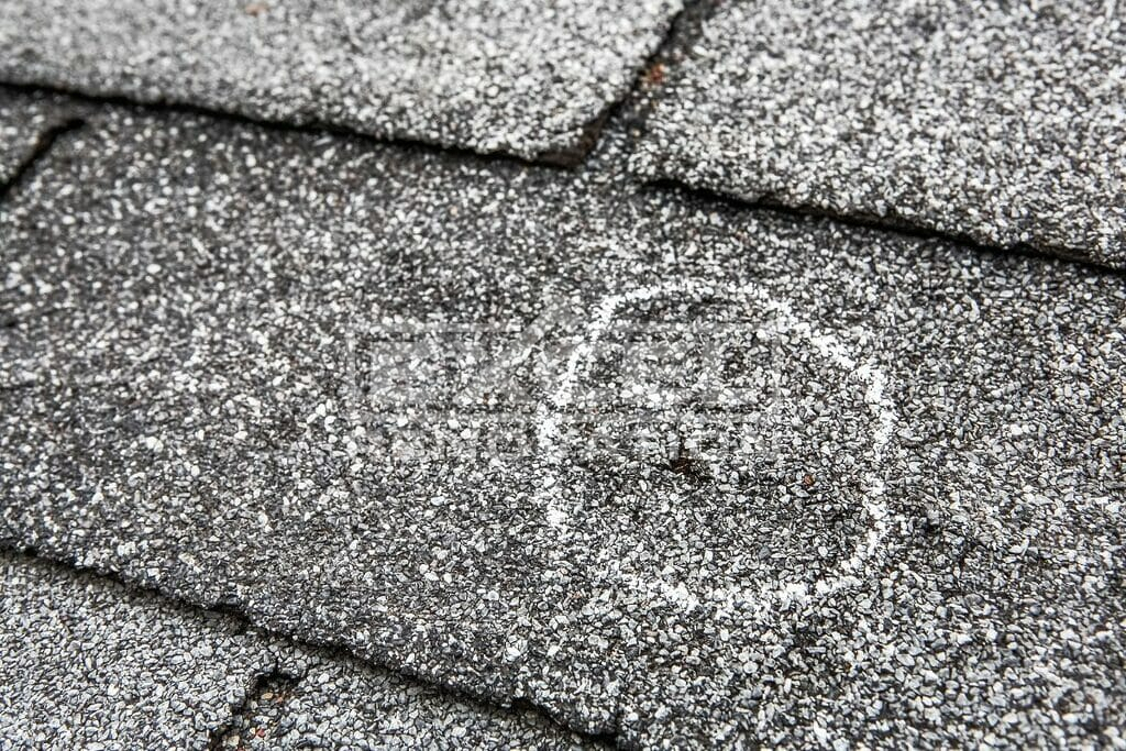 hail damage asphalt shingle
