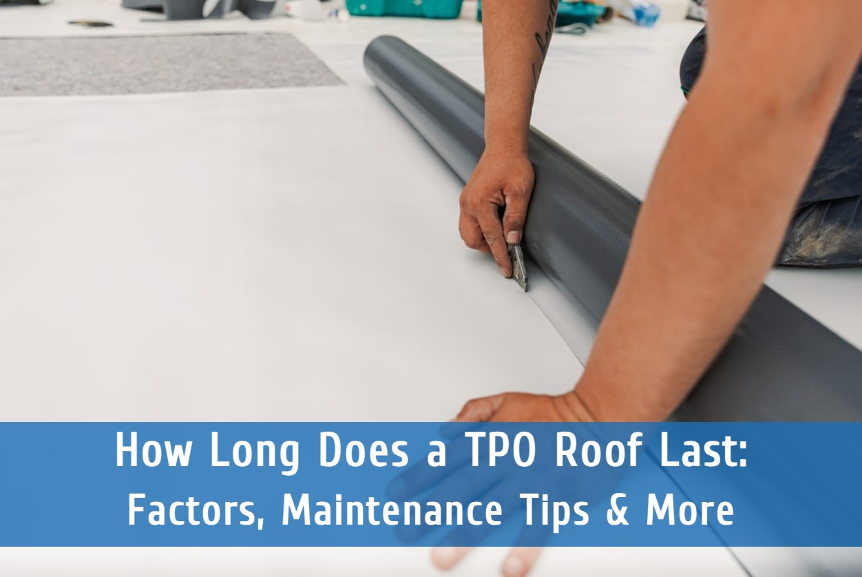 How Long Does a TPO Roof Last: Factors, Maintenance Tips & More